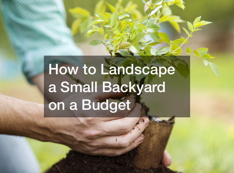how to landscape a small backyard on a budget